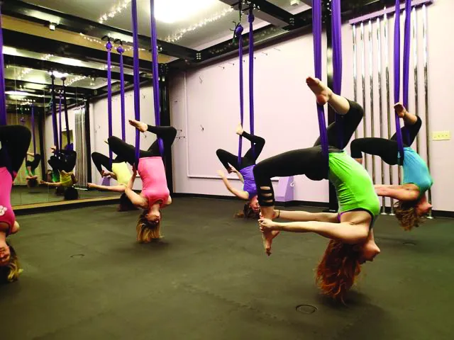Aerial Dance WI Picture 8