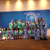 Dollhouse Dance Factory ico