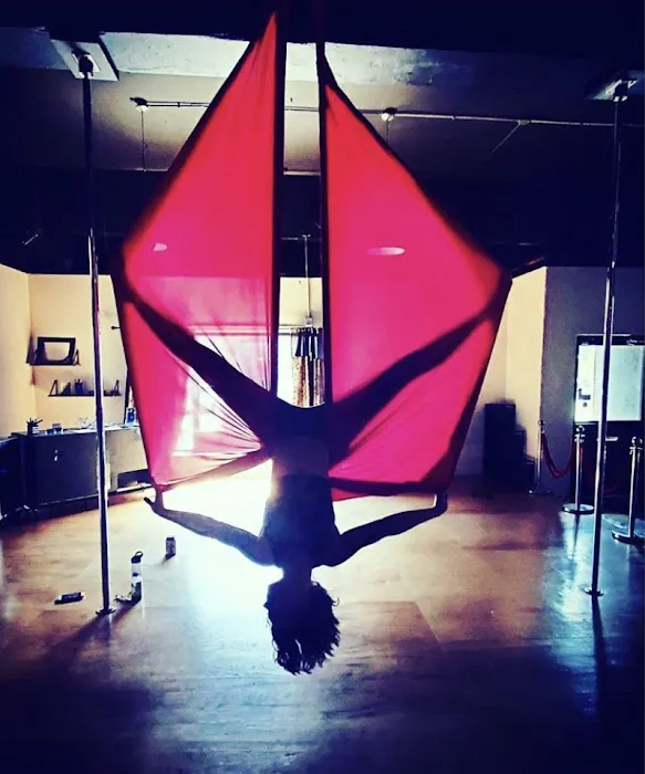 Fly Circus & Aerial Arts Picture 6