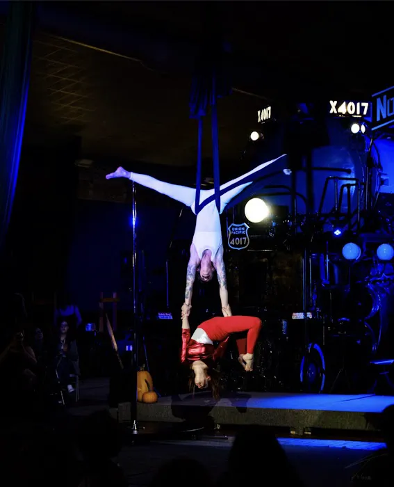 Fly Circus & Aerial Arts Picture 5