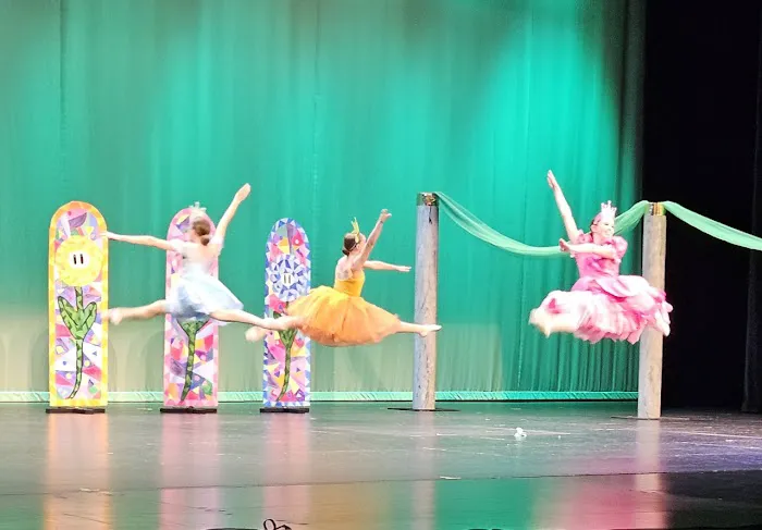 Dance Unlimited School of Performing Arts Picture 2