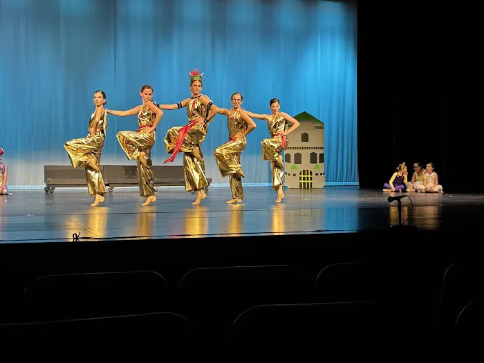 Dance Unlimited School of Performing Arts Picture 1
