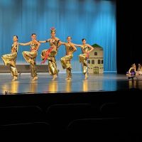 Dance Unlimited School of Performing Arts ico