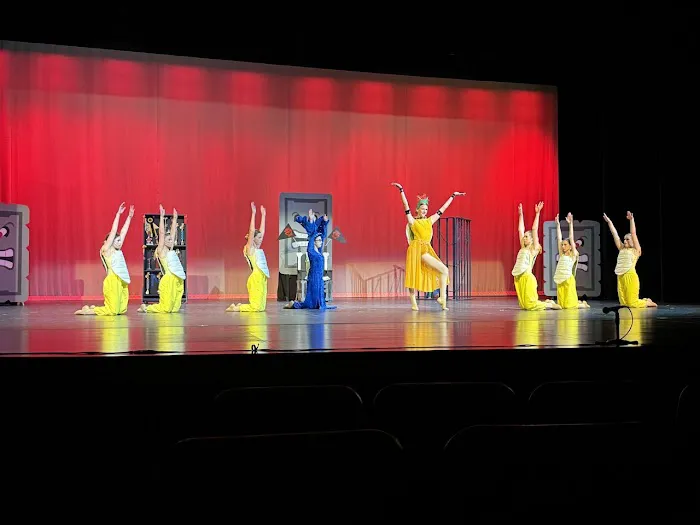 Dance Unlimited School of Performing Arts Picture 3