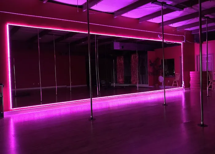 Nikki's Independent Pole Studio Picture 4