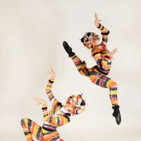 Artistic Intensity Dance Company ico