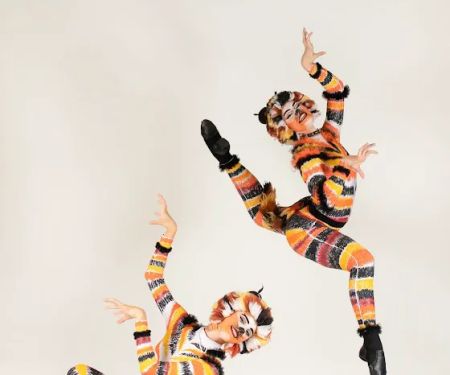 Artistic Intensity Dance Company