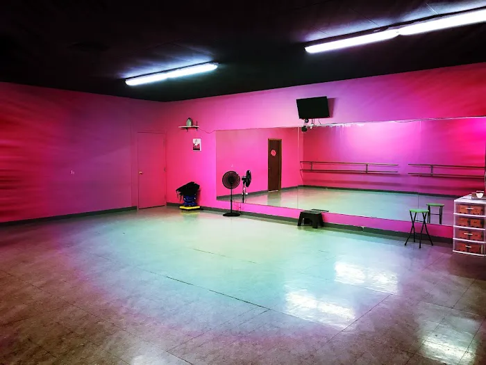 Academy For the Performing Arts Picture 3