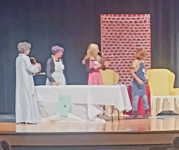 Central DeWitt Performing Arts Center Picture 7