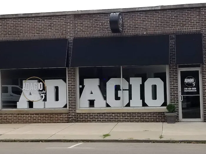 Adagio School of Performing Arts Picture 9