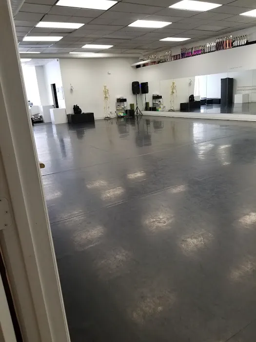 Adagio School of Performing Arts Picture 4
