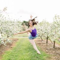 Celebration Dance ico