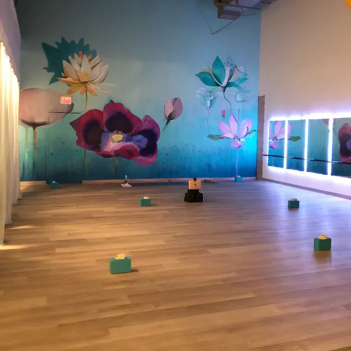 Jenstar Movement Studio Picture 3