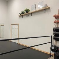 Tessmer School of Dance ico