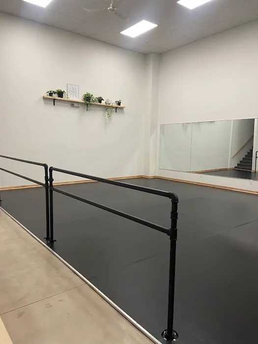 Tessmer School of Dance Picture 7