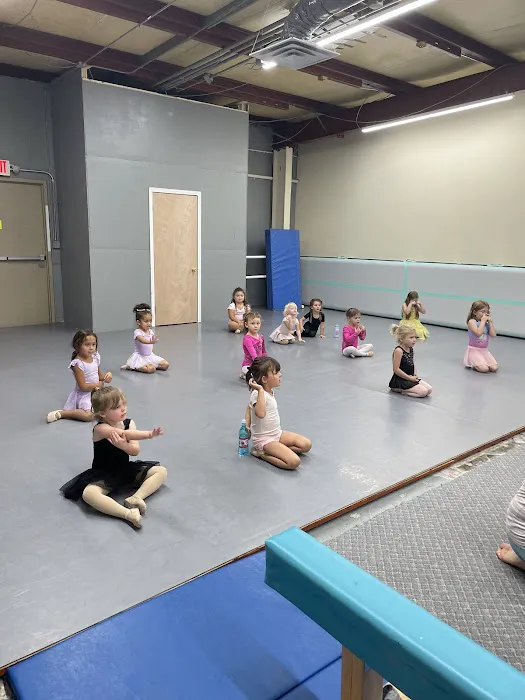 Limitless Performing Arts Academy Picture 2