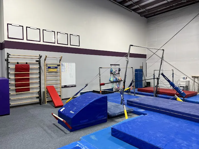 STARZ Gymnastics Academy Picture 2