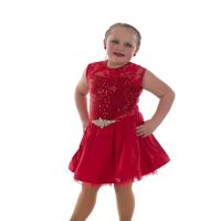 The Dance Academy of Cedar Rapids ico