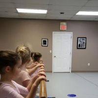 The Ark School of Dance ico
