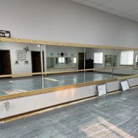 Dana's Dance Studio ico