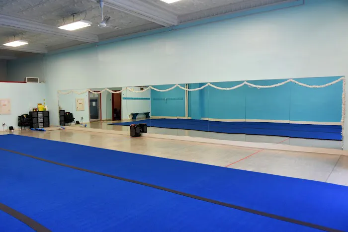 Vera Academy of Dance & Gymnastics Picture 1