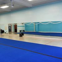 Vera Academy of Dance & Gymnastics ico