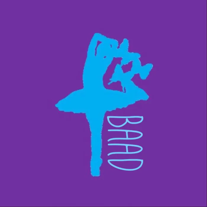 Bay Area Academy of Dance Picture 1