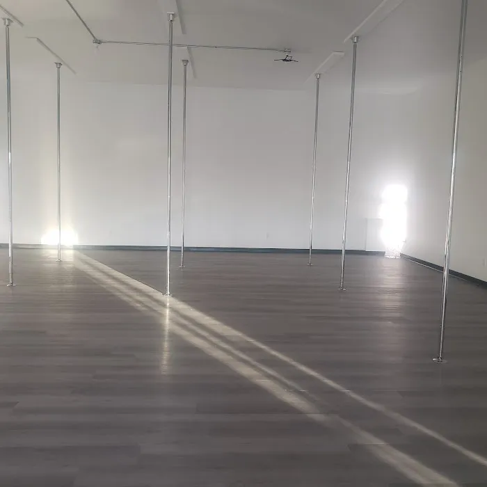 Aerial Elegance Academy Picture 3