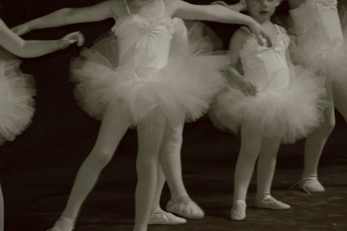 Heinz Academy for the Performing Arts Picture 6