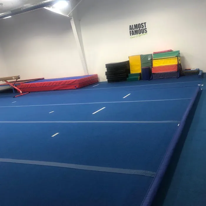 Almost Famous Dance & Gymnastics Picture 3