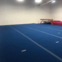 Almost Famous Dance & Gymnastics ico
