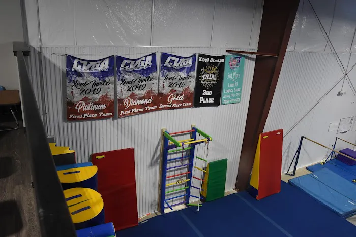 Cedar Valley Gymnastics Academy Picture 6