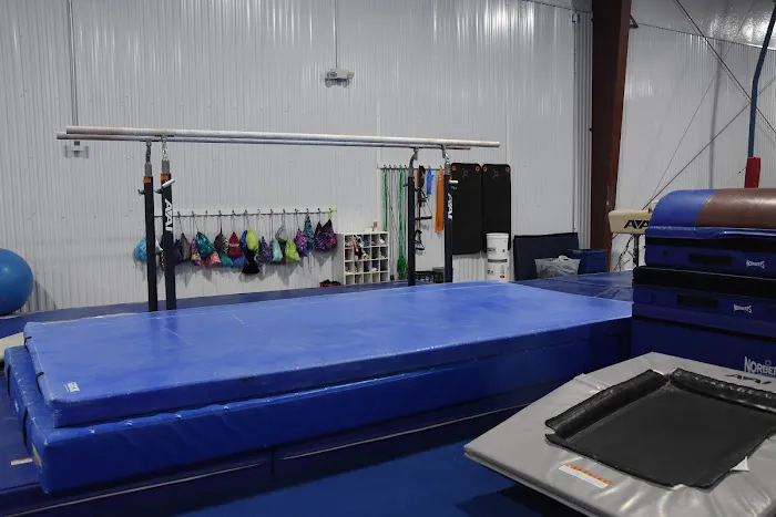 Cedar Valley Gymnastics Academy Picture 7