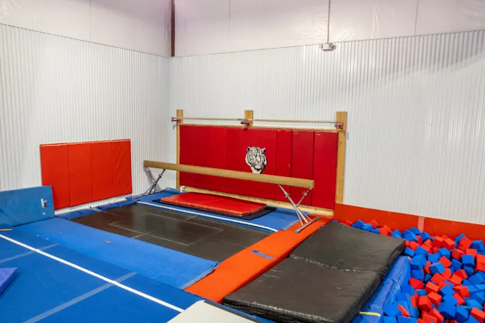 Cedar Valley Gymnastics Academy Picture 9