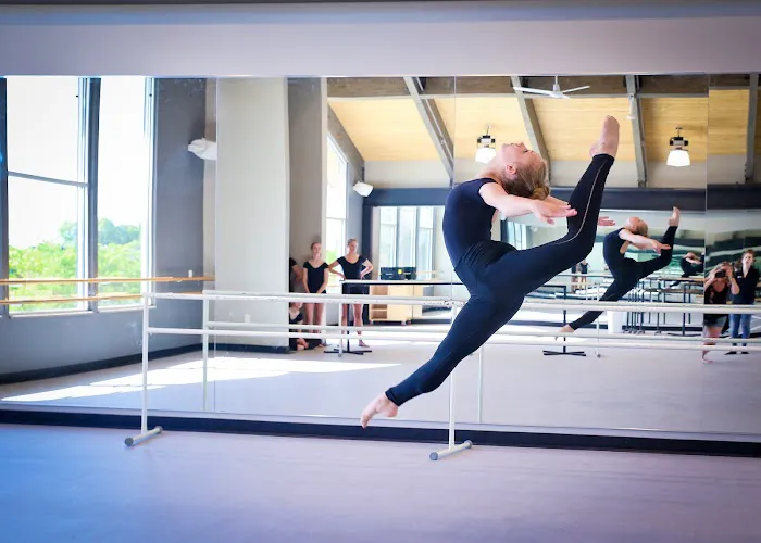 Misty's Dance Unlimited Picture 2