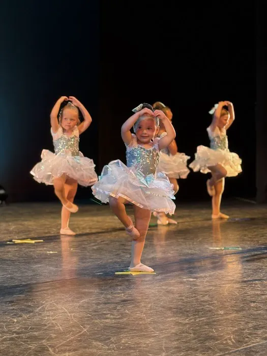 Misty's Dance Unlimited Picture 3