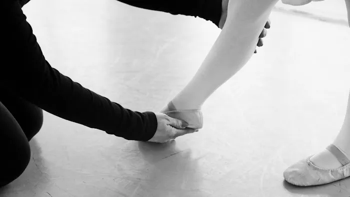 Misty's Dance Unlimited Picture 6