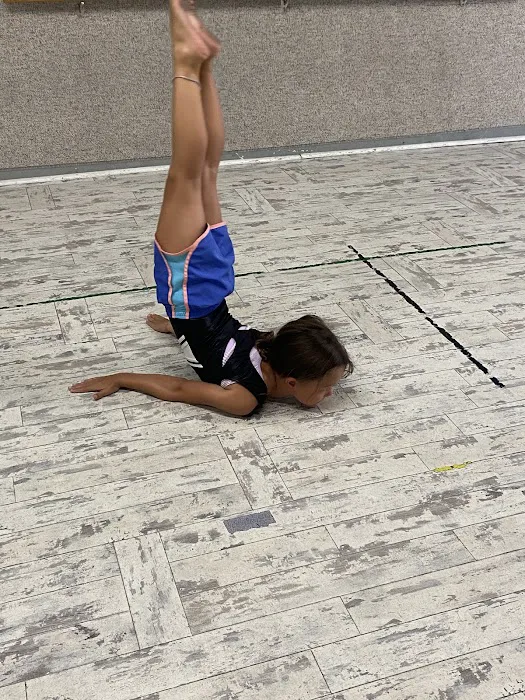 Clarion Dance & Tumbling Academy Picture 4