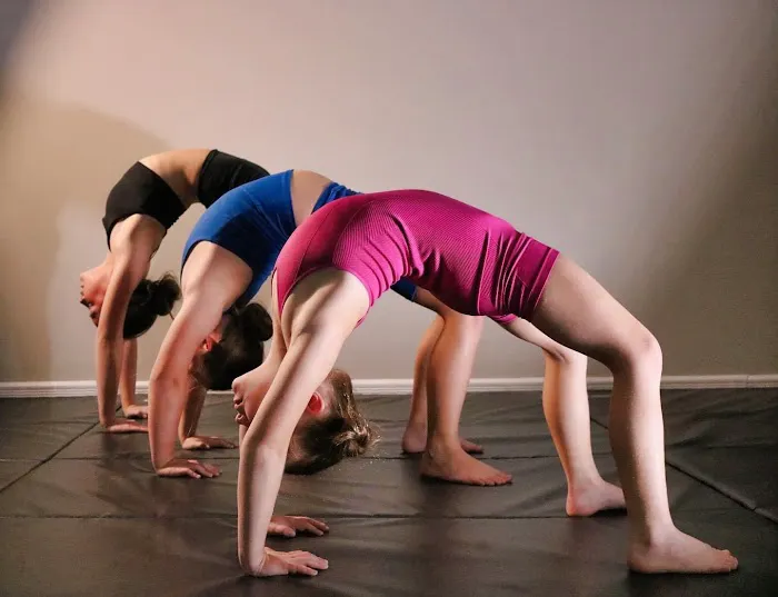 Rochester Acro Picture 4