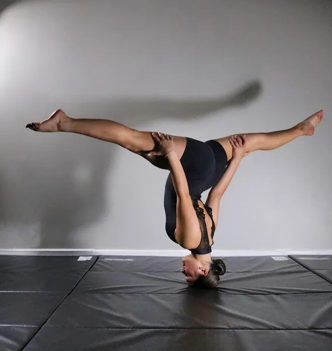 Rochester Acro Picture 6