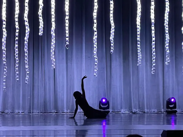 The Dance Avenue Picture 10