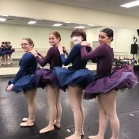 Des Moines DanzArts Studio ico