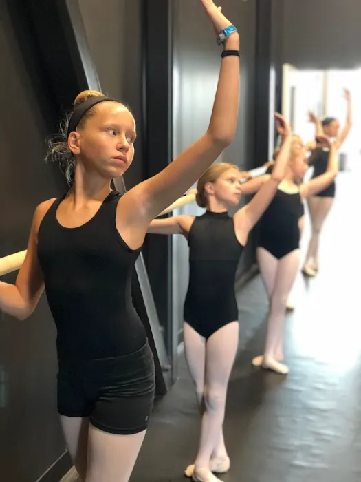 Premiere Dance Project Picture 8