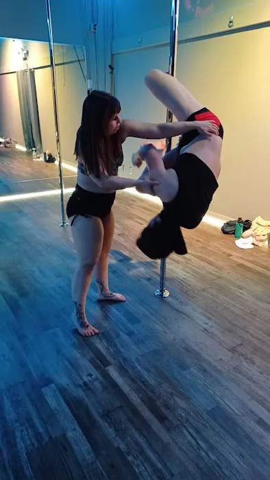 Carousel Pole Studio Picture 4