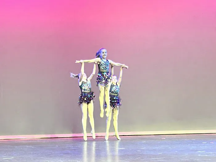 The Dance Project Picture 5