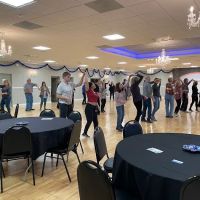 Dance and Entertainment Studios ico