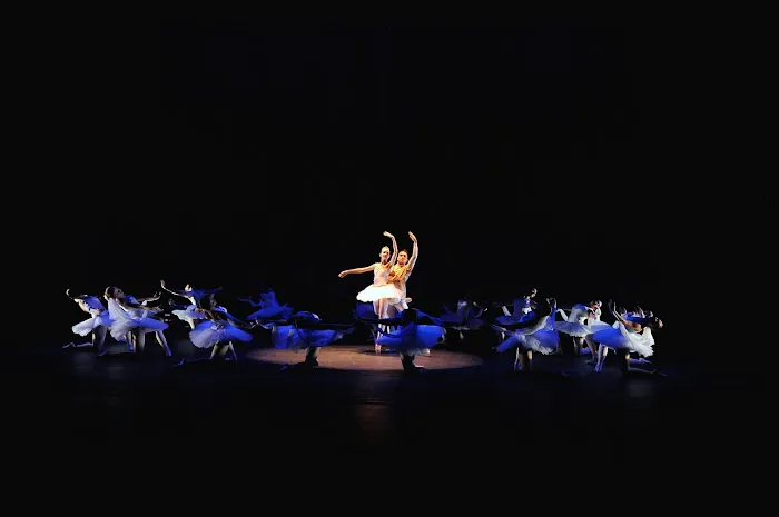Minnesota Conservatory For the Arts & The Academy Theatre Picture 1