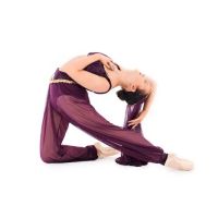 Iowa Ballet Academy ico