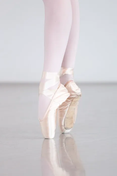 Iowa Ballet Academy Picture 6
