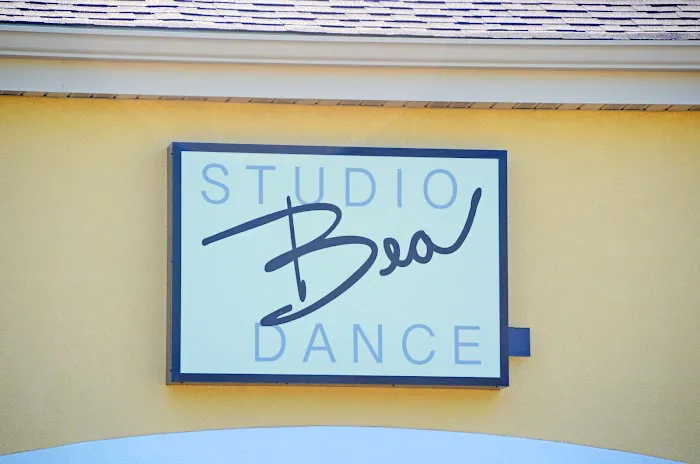 Studio Bea Dance Picture 10